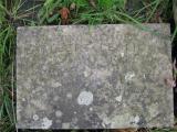 image of grave number 105222